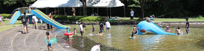 IMG_1515y.jpg